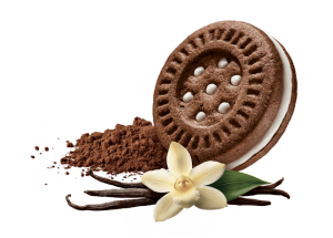 Sandwich cookie cocoa and vanilla 